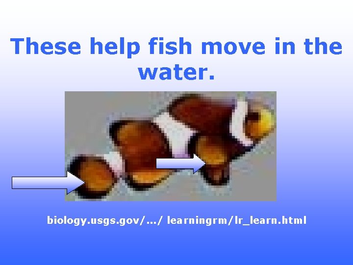 These help fish move in the water. biology. usgs. gov/. . . / learningrm/lr_learn.