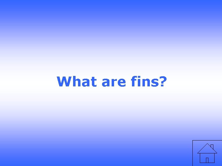 What are fins? 