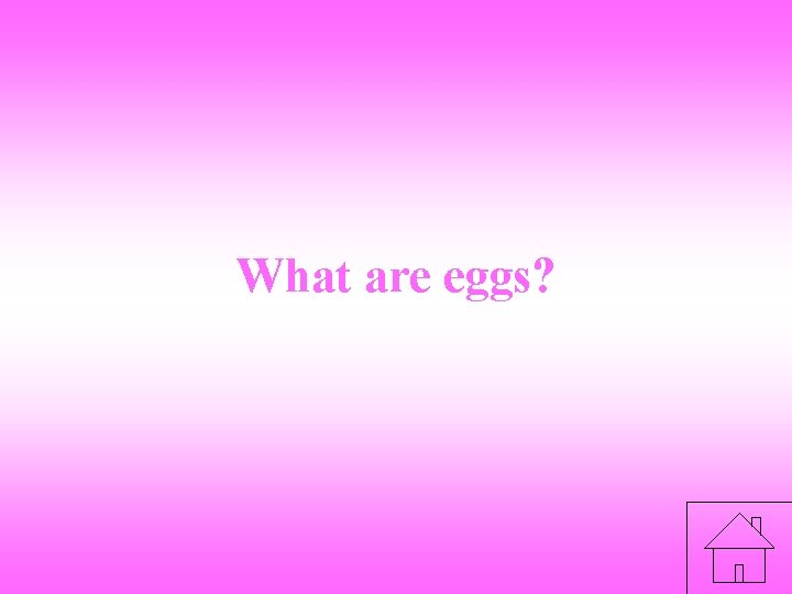 What are eggs? 