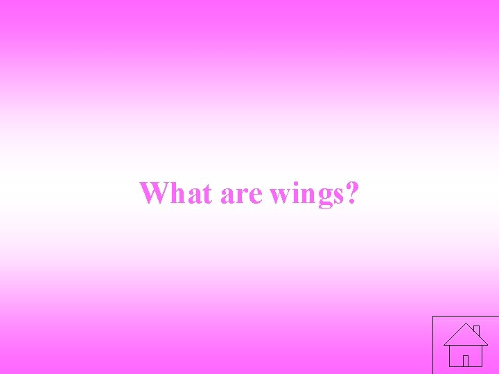 What are wings? 