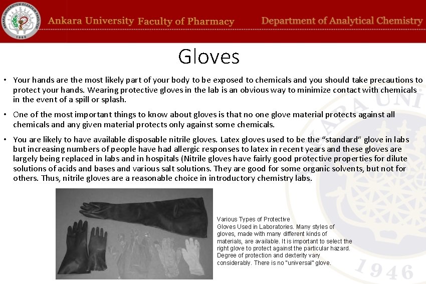 Gloves • Your hands are the most likely part of your body to be