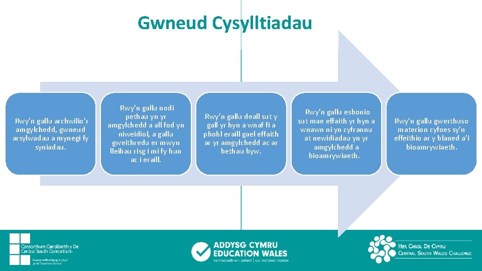 Gwneud Cysylltiadau Rwy’n gallu archwilio’r amgylchedd, gwneud arsylwadau a mynegi fy syniadau. Rwy’n gallu