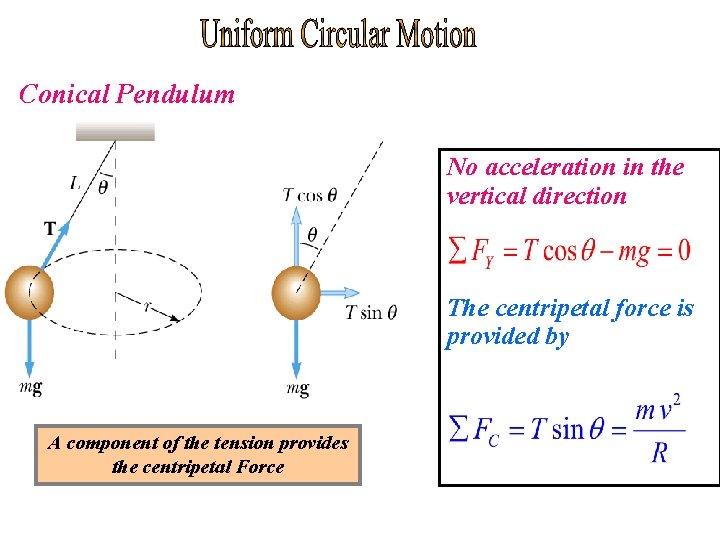Conical Pendulum No acceleration in the vertical direction The centripetal force is provided by