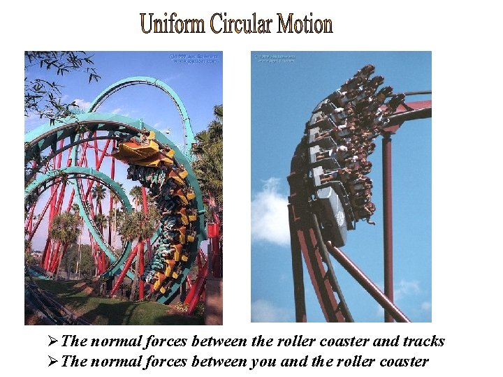 ØThe normal forces between the roller coaster and tracks ØThe normal forces between you
