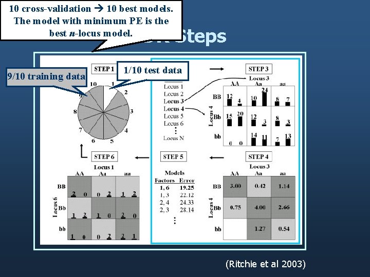 10 cross-validation 10 best models. The model with minimum PE is the best n-locus