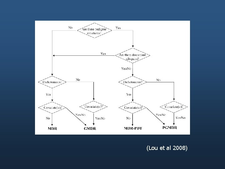 (Lou et al 2008) 