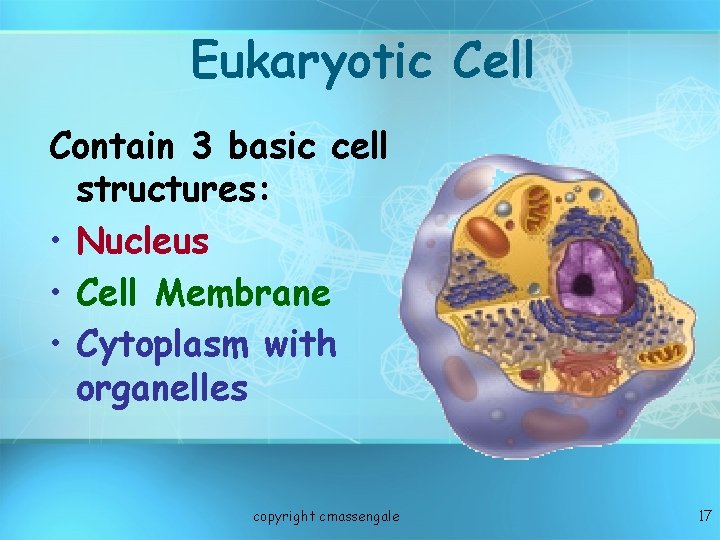 Eukaryotic Cell Contain 3 basic cell structures: • Nucleus • Cell Membrane • Cytoplasm