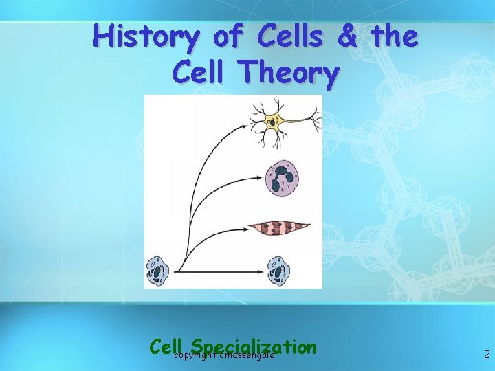 History of Cells & the Cell Theory Cellcopyright Specialization cmassengale 2 