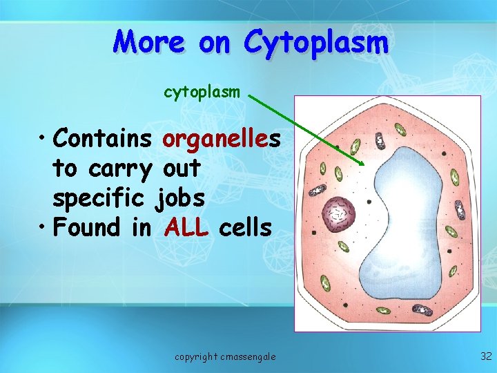 More on Cytoplasm cytoplasm • Contains organelles to carry out specific jobs • Found