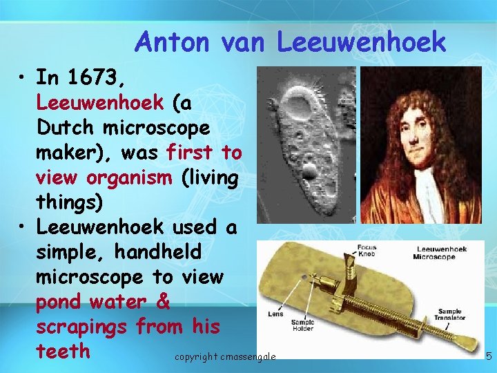 Anton van Leeuwenhoek • In 1673, Leeuwenhoek (a Dutch microscope maker), was first to