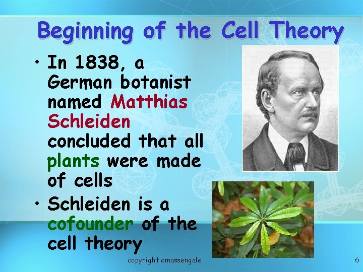 Beginning of the Cell Theory • In 1838, a German botanist named Matthias Schleiden