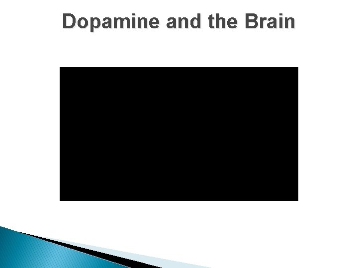 Dopamine and the Brain 