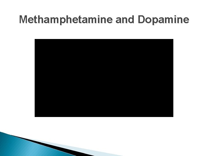 Methamphetamine and Dopamine 