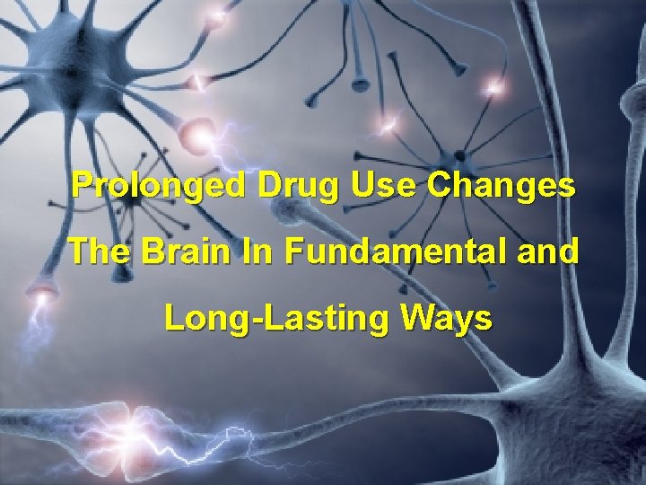 Prolonged Drug Use Changes The Brain In Fundamental and Long-Lasting Ways 