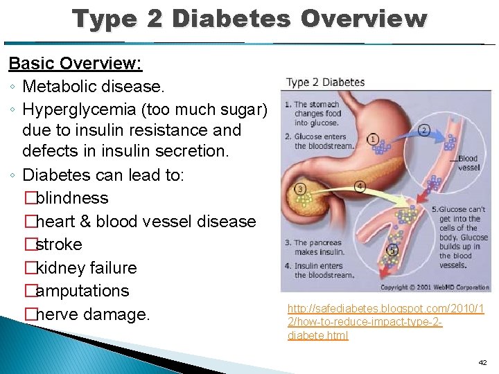Type 2 Diabetes Overview Basic Overview: ◦ Metabolic disease. ◦ Hyperglycemia (too much sugar)