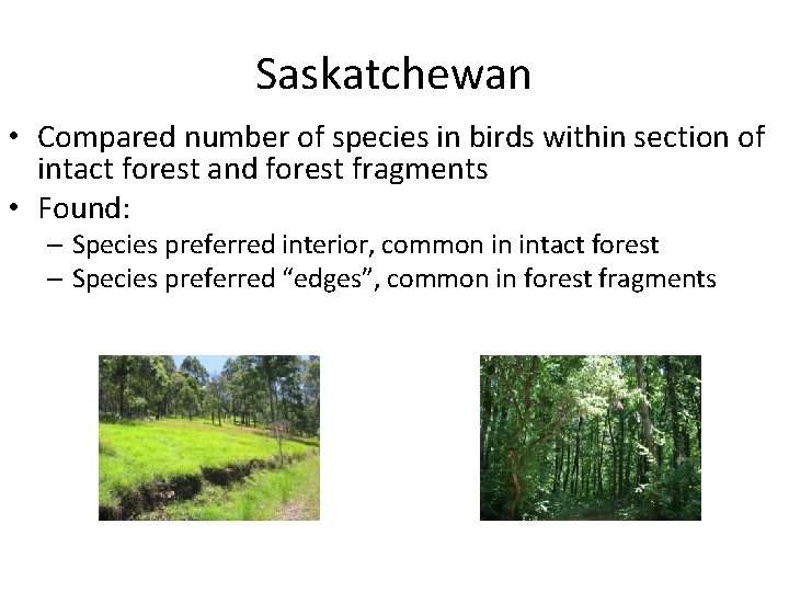 Saskatchewan • Compared number of species in birds within section of intact forest and
