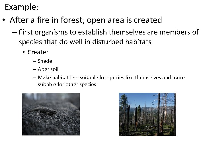 Example: • After a fire in forest, open area is created – First organisms