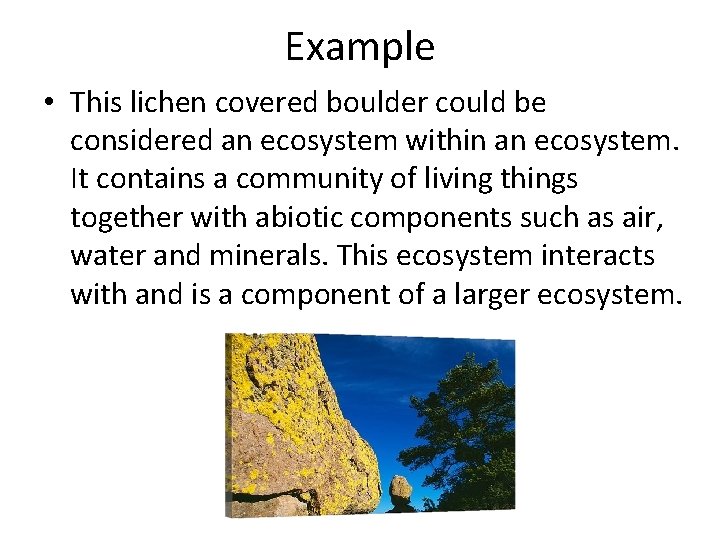 Example • This lichen covered boulder could be considered an ecosystem within an ecosystem.