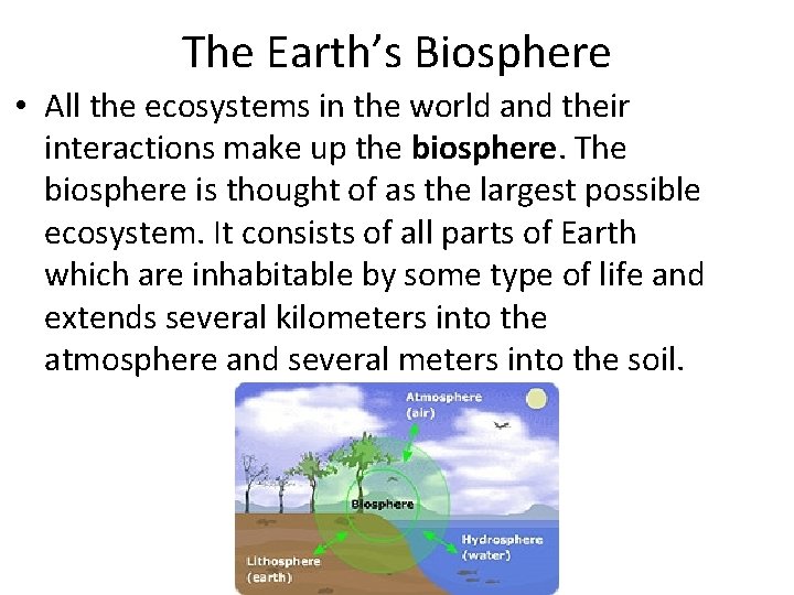 The Earth’s Biosphere • All the ecosystems in the world and their interactions make
