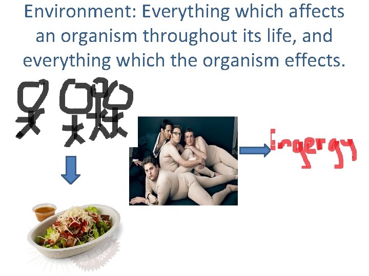 Environment: Everything which affects an organism throughout its life, and everything which the organism