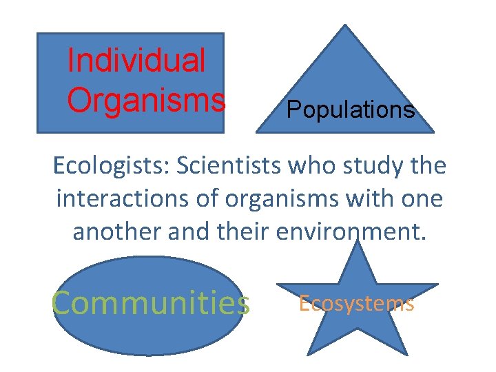 Individual Organisms Populations Ecologists: Scientists who study the interactions of organisms with one another