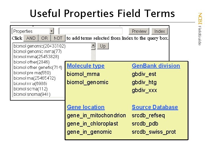 Molecule type biomol_mrna biomol_genomic Gen. Bank division gbdiv_est gbdiv_htg gbdiv_xxx Gene location gene_in_mitochondrion gene_in_chloroplast