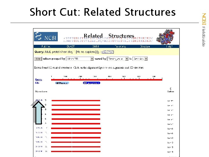 NCBI Field. Guide Short Cut: Related Structures 