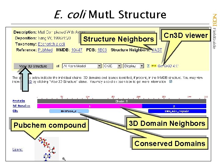 Structure Neighbors Pubchem compound Cn 3 D viewer 3 D Domain Neighbors Conserved Domains