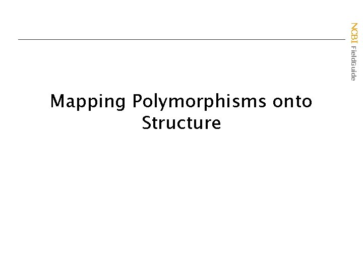 NCBI Field. Guide Mapping Polymorphisms onto Structure 