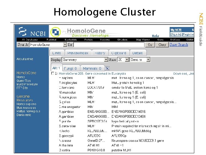 NCBI Field. Guide Homologene Cluster 
