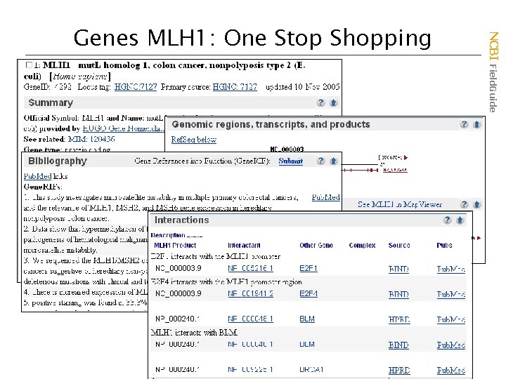 NCBI Field. Guide Genes MLH 1: One Stop Shopping 