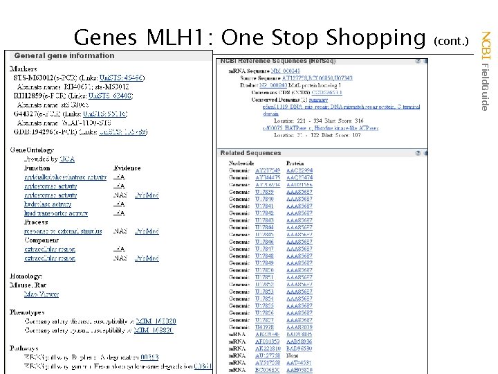 (cont. ) NCBI Field. Guide Genes MLH 1: One Stop Shopping 