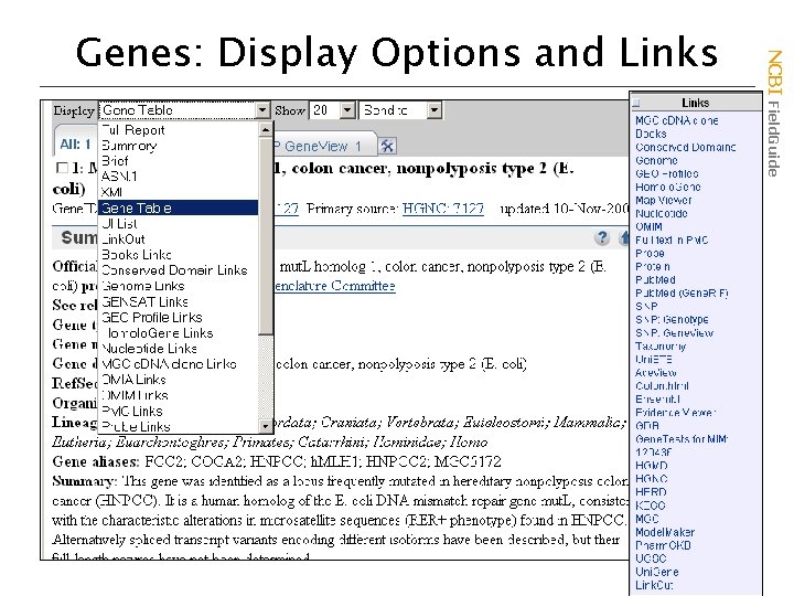 NCBI Field. Guide Genes: Display Options and Links 