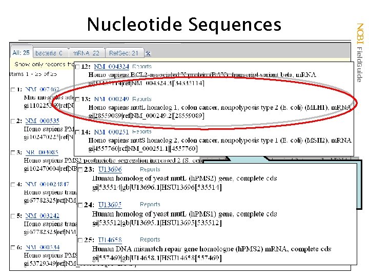 NCBI Field. Guide Nucleotide Sequences Nucleotide database now three parts • EST expressed sequence