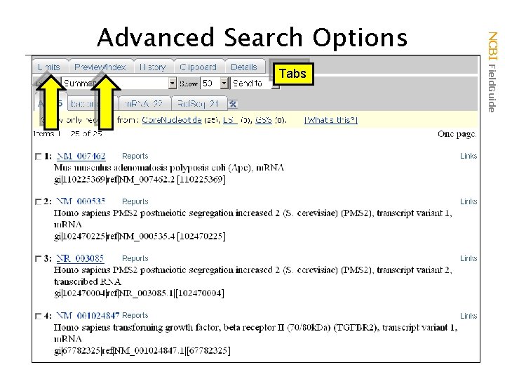 Tabs NCBI Field. Guide Advanced Search Options 