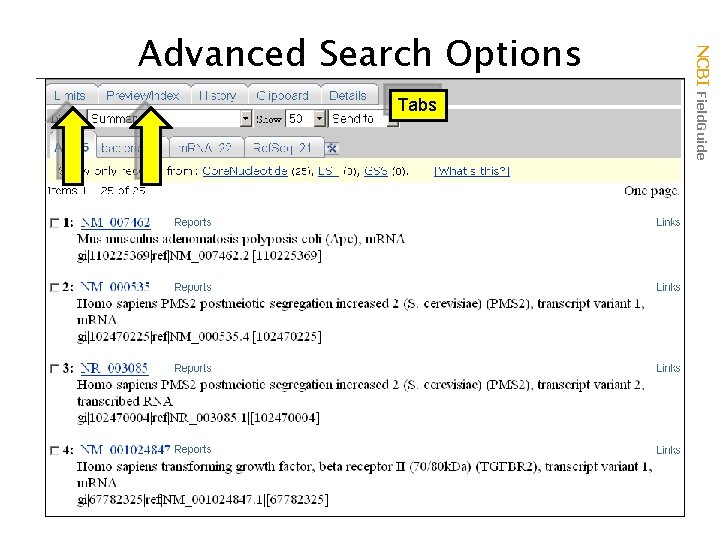 Tabs NCBI Field. Guide Advanced Search Options 