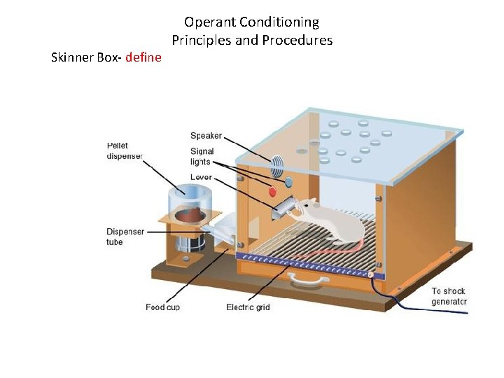 Skinner Box- define Operant Conditioning Principles and Procedures 
