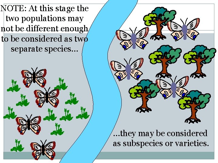 NOTE: At this stage the two populations may not be different enough to be