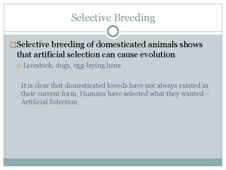 Selective Breeding �Selective breeding of domesticated animals shows that artificial selection cause evolution Livestock,