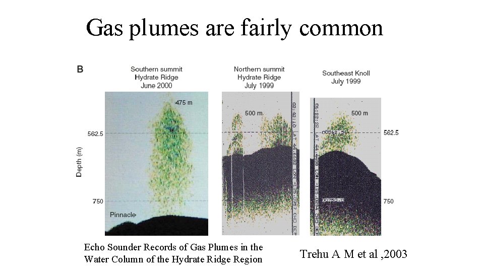 Gas plumes are fairly common Echo Sounder Records of Gas Plumes in the Water