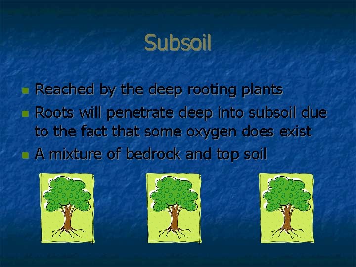 Subsoil n n n Reached by the deep rooting plants Roots will penetrate deep