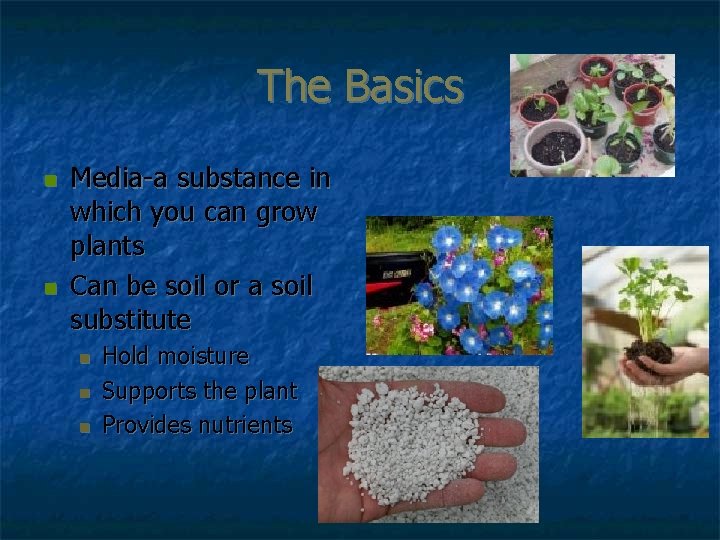 The Basics n n Media-a substance in which you can grow plants Can be