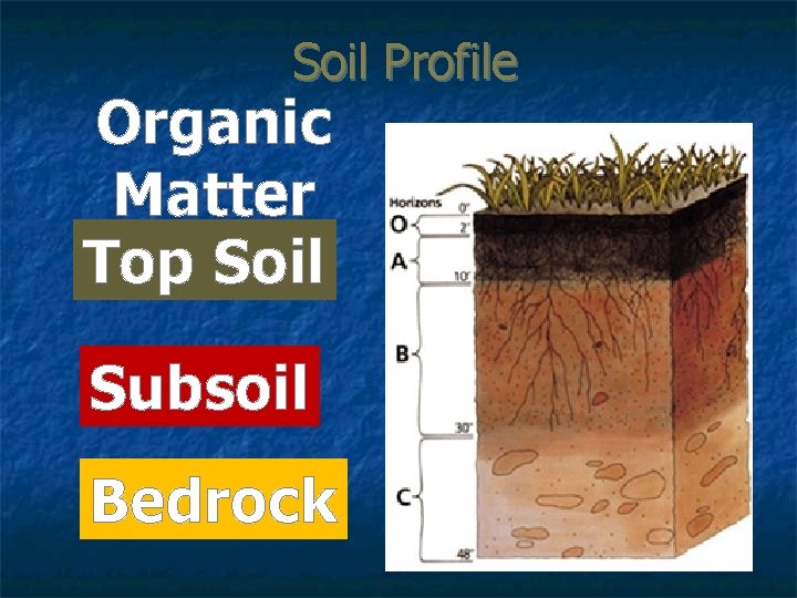 Soil Profile Organic Matter Top Soil Subsoil Bedrock 