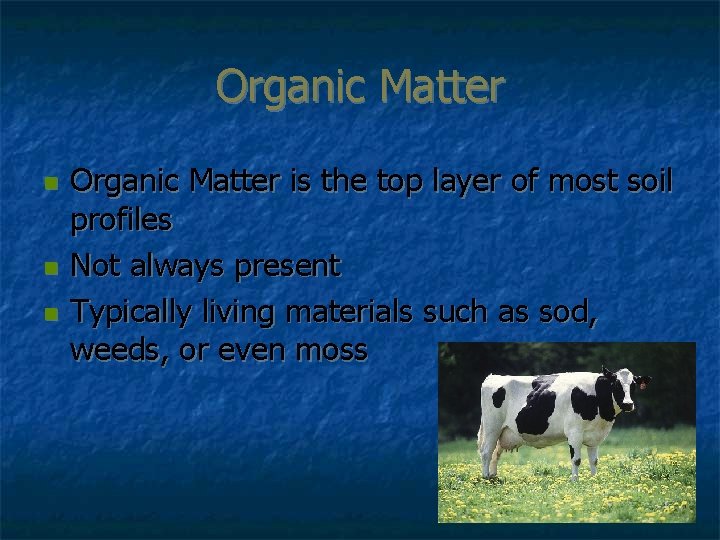 Organic Matter n n n Organic Matter is the top layer of most soil