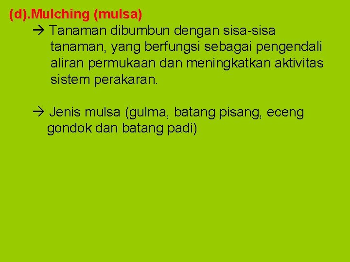 (d). Mulching (mulsa) Tanaman dibumbun dengan sisa-sisa tanaman, yang berfungsi sebagai pengendali aliran permukaan