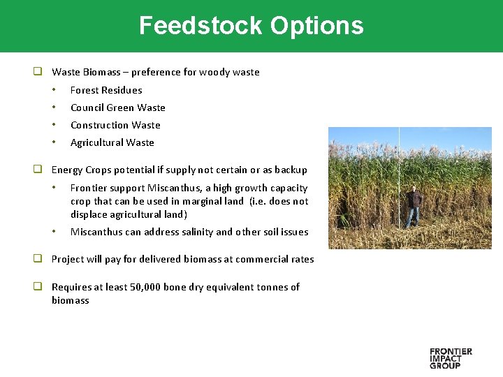 Feedstock Options q Waste Biomass – preference for woody waste • Forest Residues •