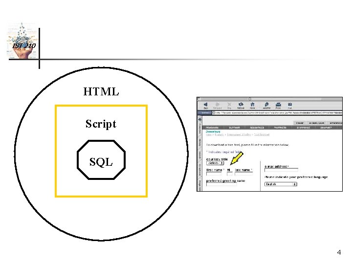 IST 210 HTML Script SQL 4 