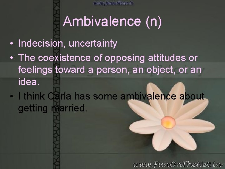 Ambivalence (n) • Indecision, uncertainty • The coexistence of opposing attitudes or feelings toward