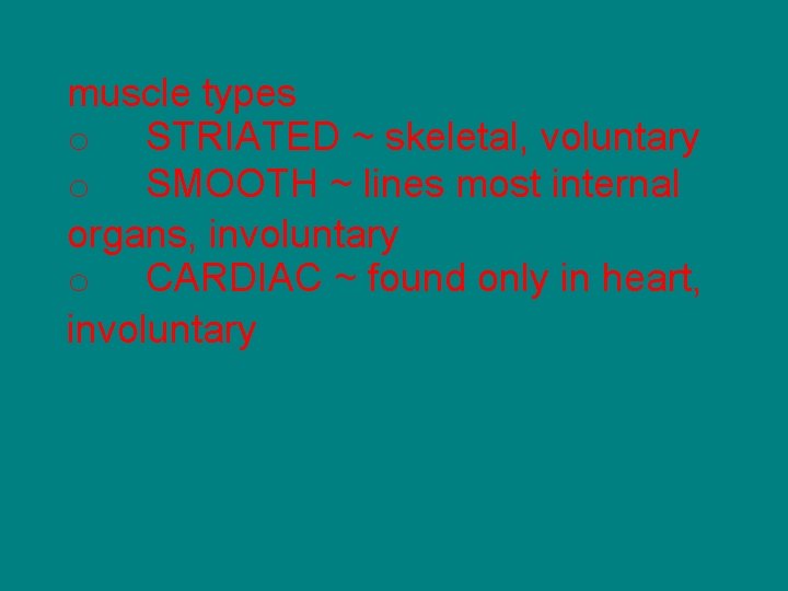 muscle types o STRIATED ~ skeletal, voluntary o SMOOTH ~ lines most internal organs,