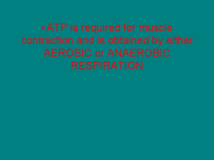  • ATP is required for muscle contraction and is obtained by either AEROBIC